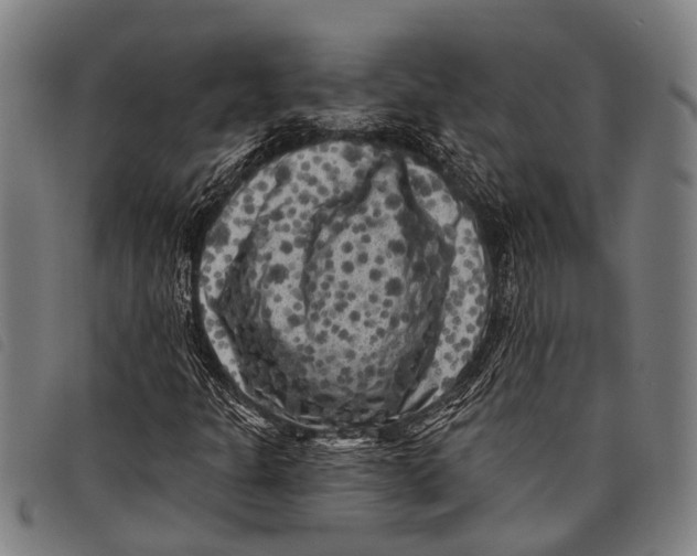 X0000097851301200804041457