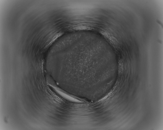 X0000097851305200804041457