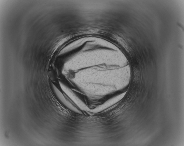 X0000097851308200804041457