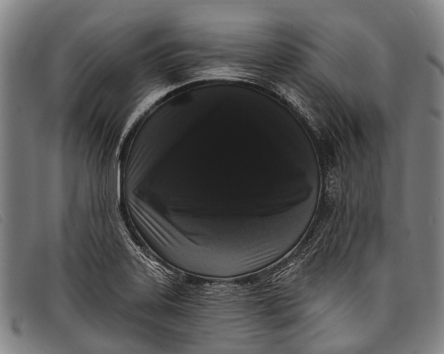 X0000097851323200804041457