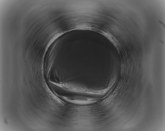 X0000097851331200804041457