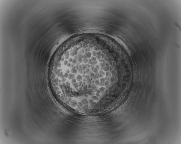 X0000097851333200804041457