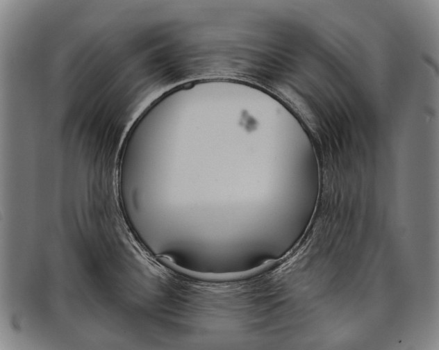 X0000097851340200804041458