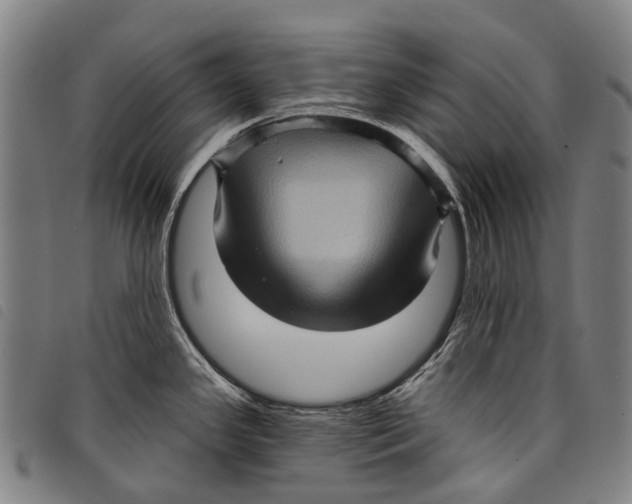 X0000097851341200804041458