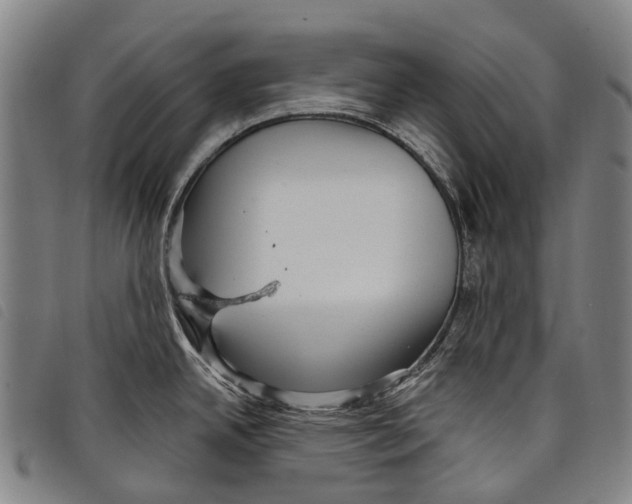 X0000097851342200804041458