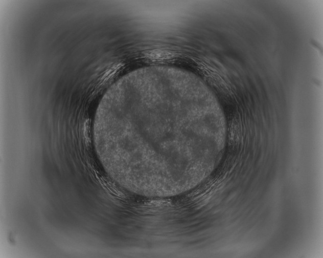 X0000097851346200804041457