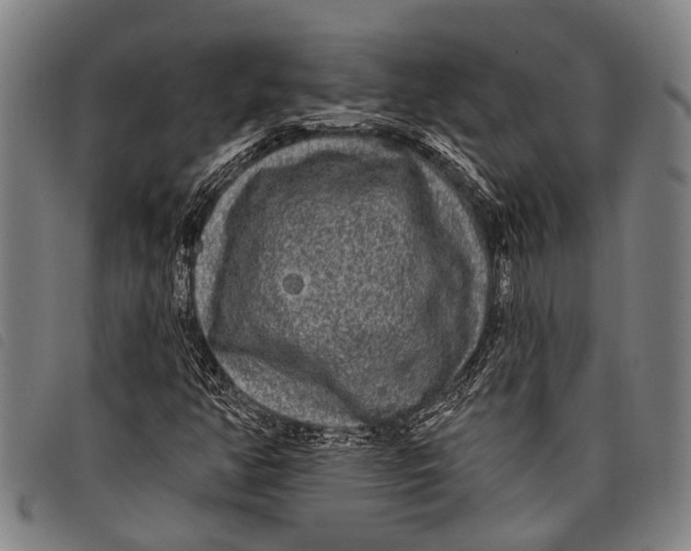 X0000097851350200804041457