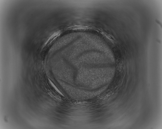 X0000097851351200804041457