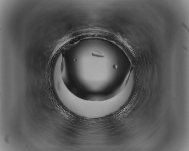 X0000097851352200804041457