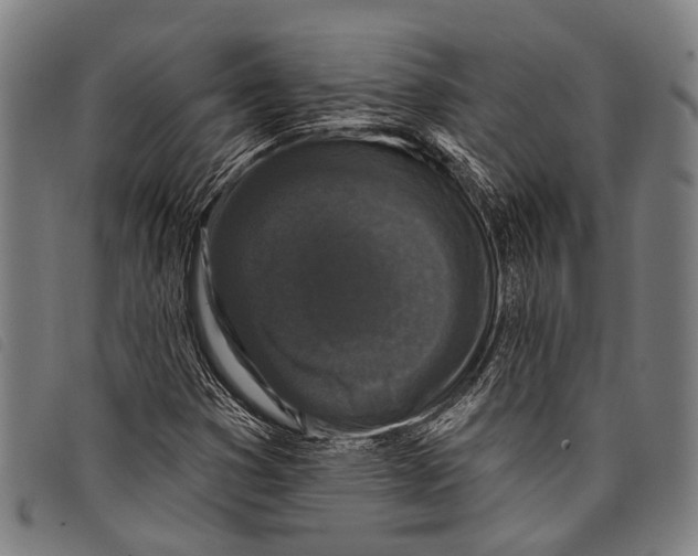 X0000097851353200804041457