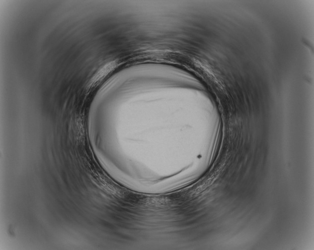 X0000097851354200804041457