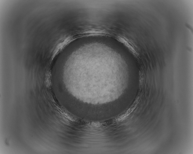 X0000097851357200804041457