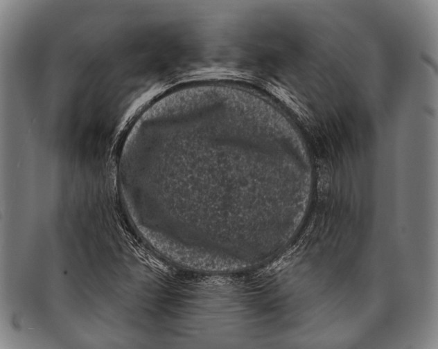 X0000097851358200804041457