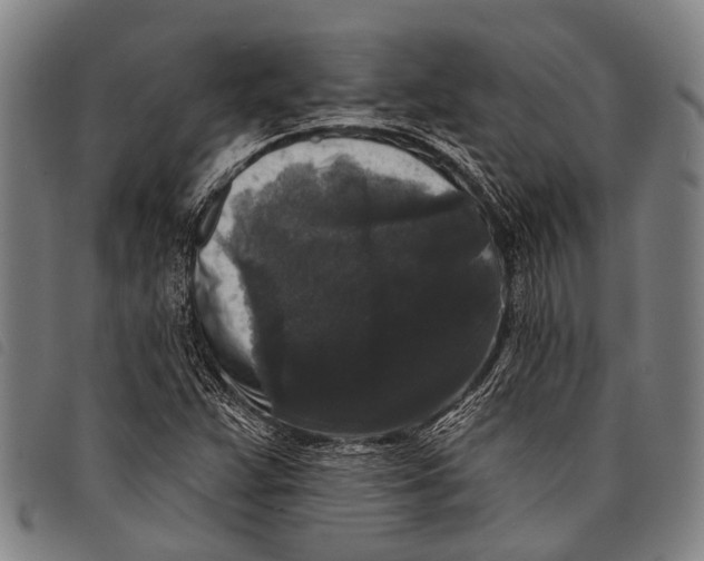 X0000097851359200804041457