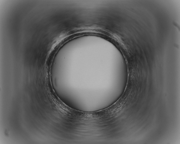 X0000097851360200804041457