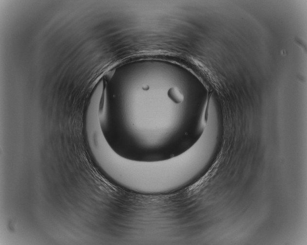 X0000097851361200804041457