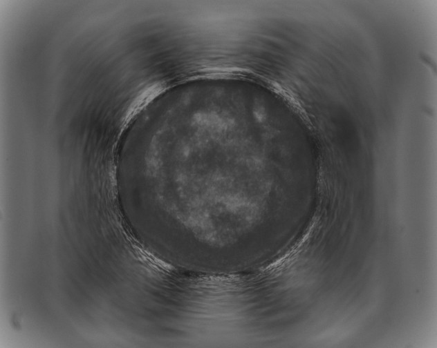 X0000097851362200804041457