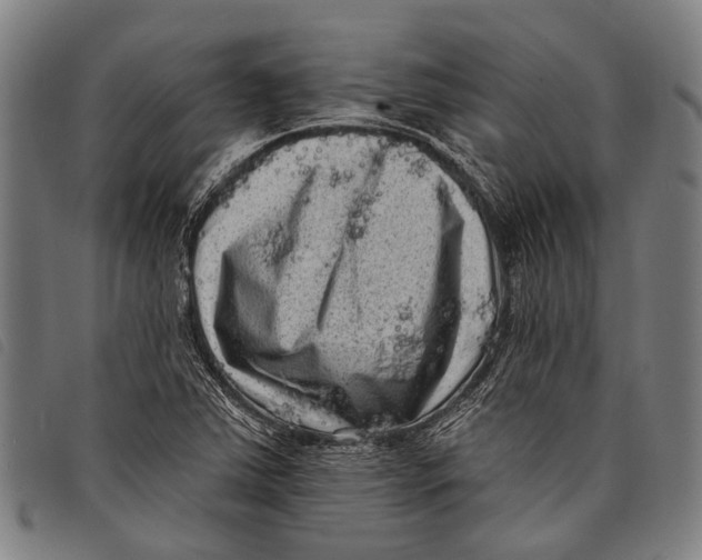 X0000097851363200804041457