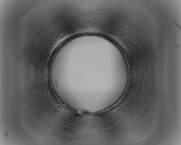 X0000097851364200804041457