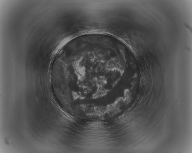 X0000097851367200804041457