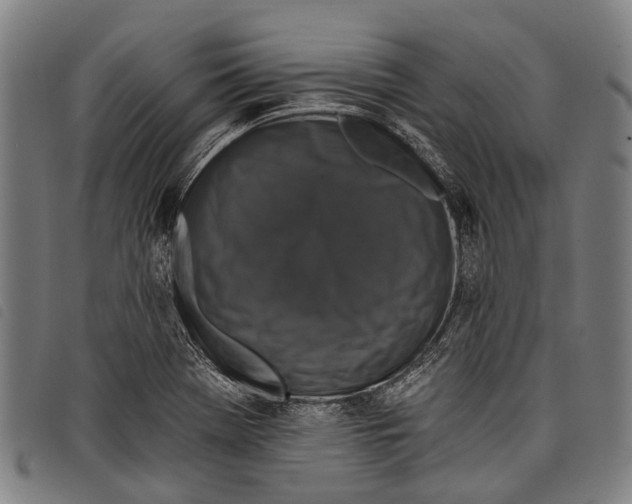 X0000097851369200804041456