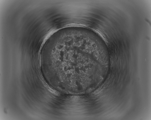 X0000097851371200804041456