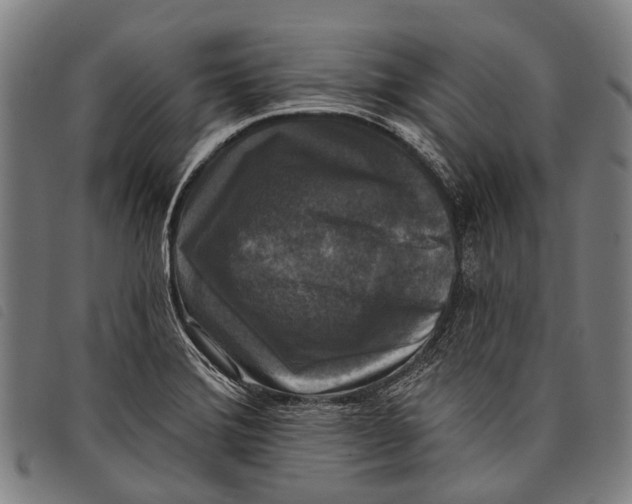 X0000097851372200804041456