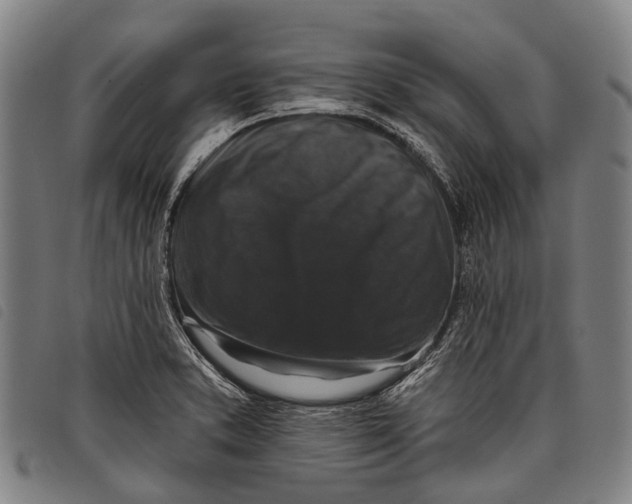 X0000097851373200804041456