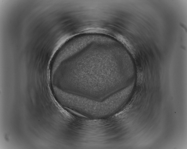 X0000097851376200804041456