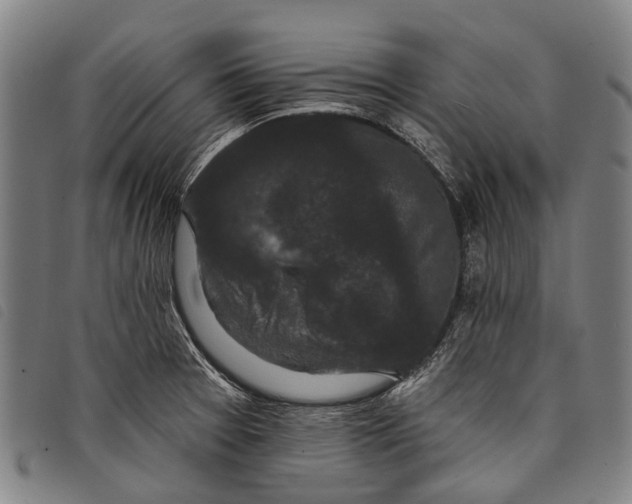 X0000097851377200804041456