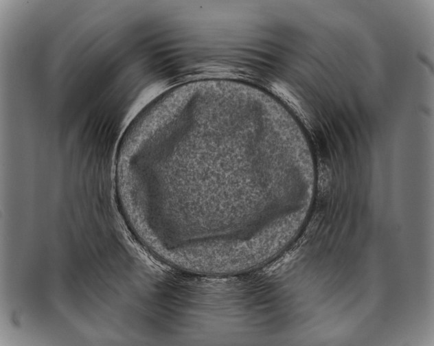 X0000097851378200804041456