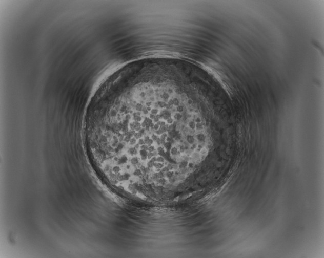 X0000097851379200804041456