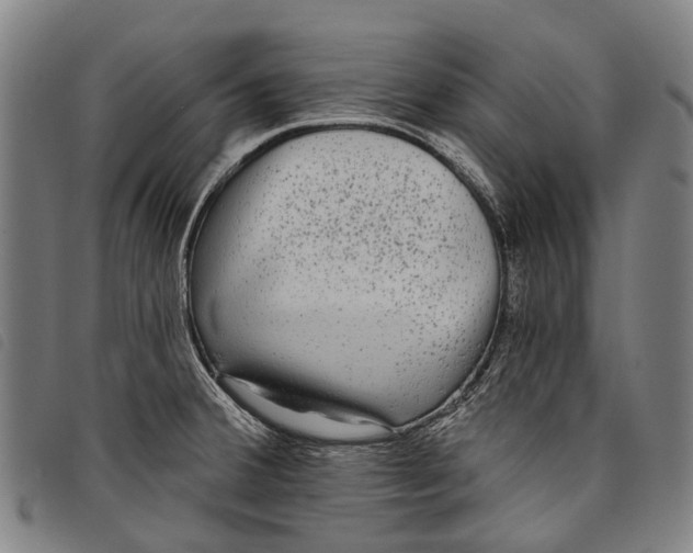 X0000097851380200804041456