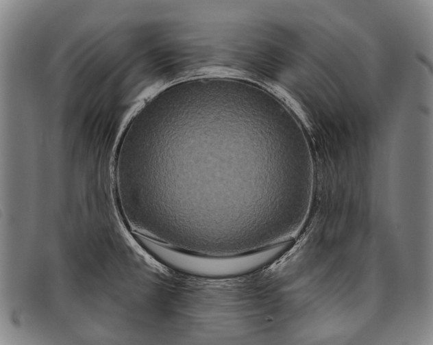 X0000097851381200804041456