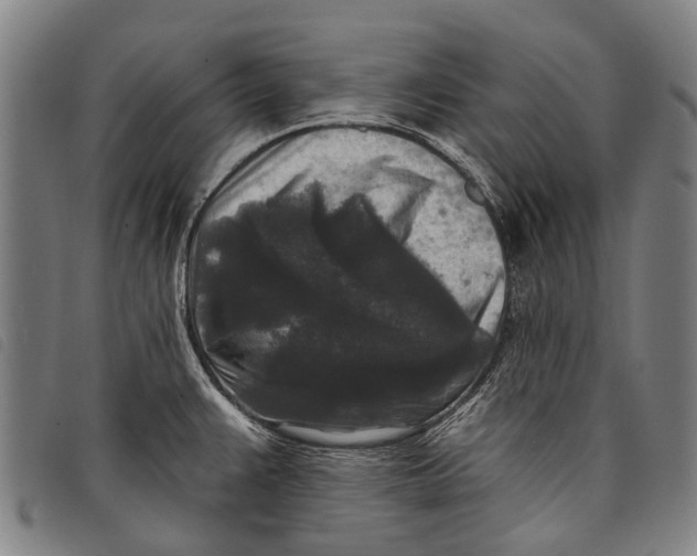 X0000097851383200804041456