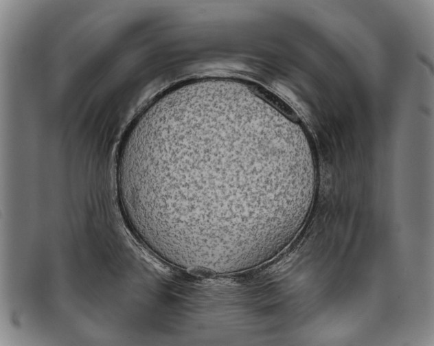 X0000097851384200804041456