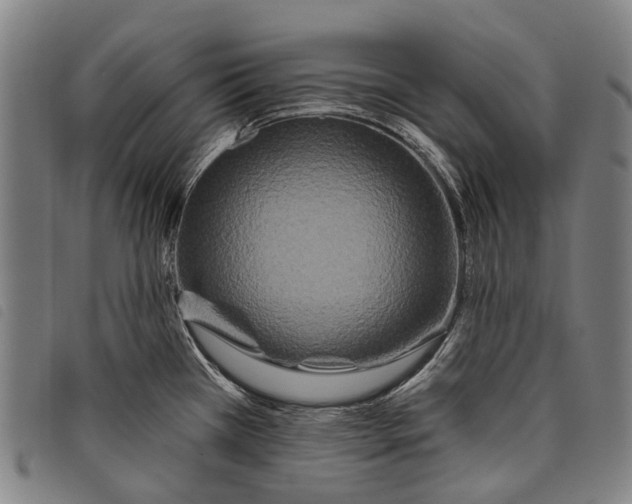 X0000097851385200804041456