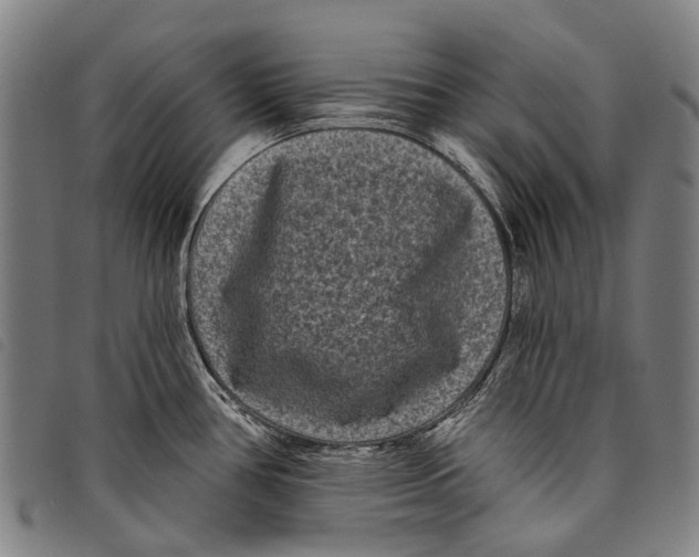 X0000097851386200804041456