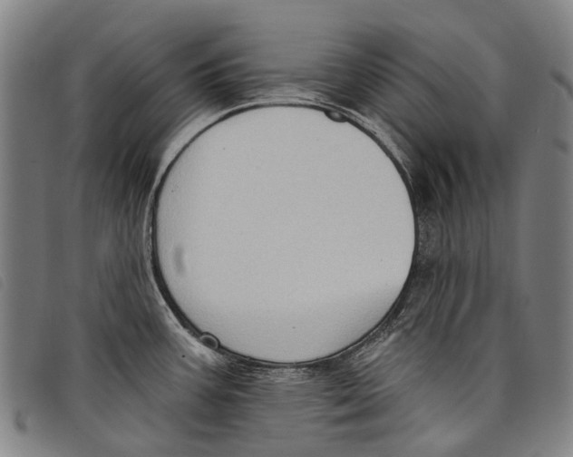 X0000097851387200804041456