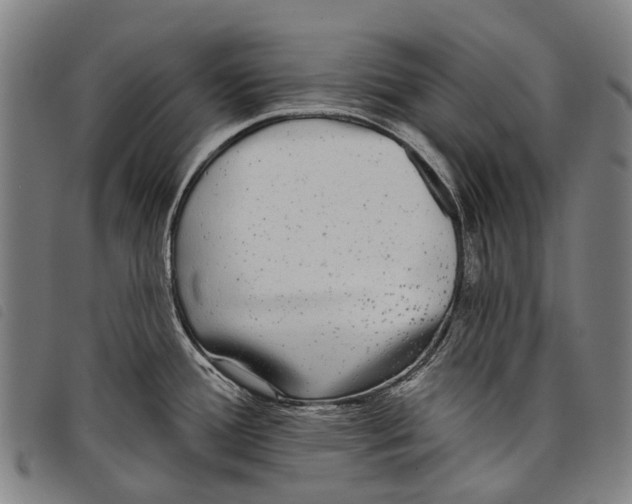 X0000097851388200804041456