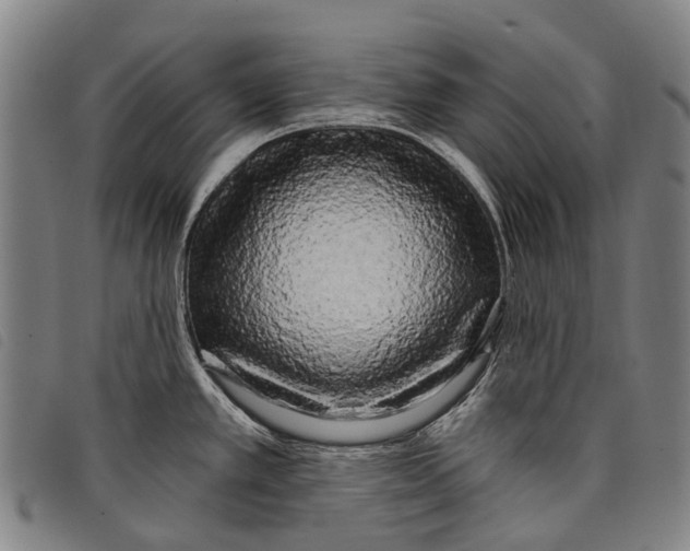 X0000097851389200804041456