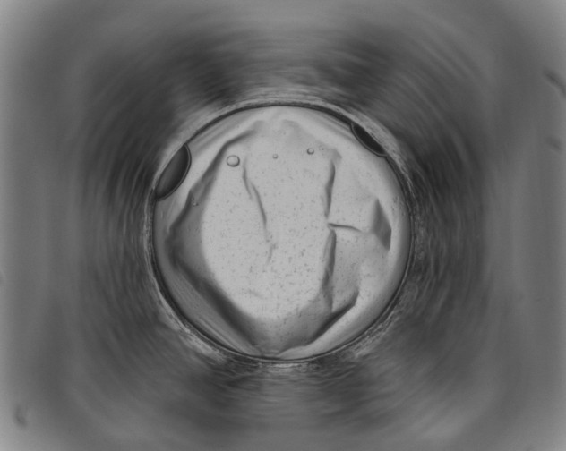 X0000097851390200804041456