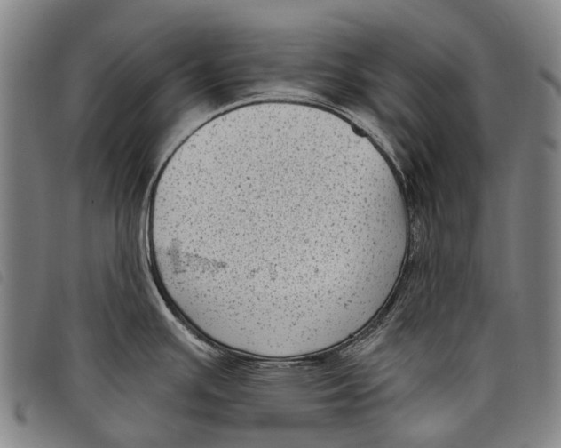 X0000097851391200804041456