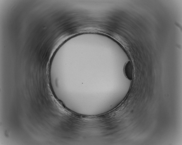 X0000097851392200804041456