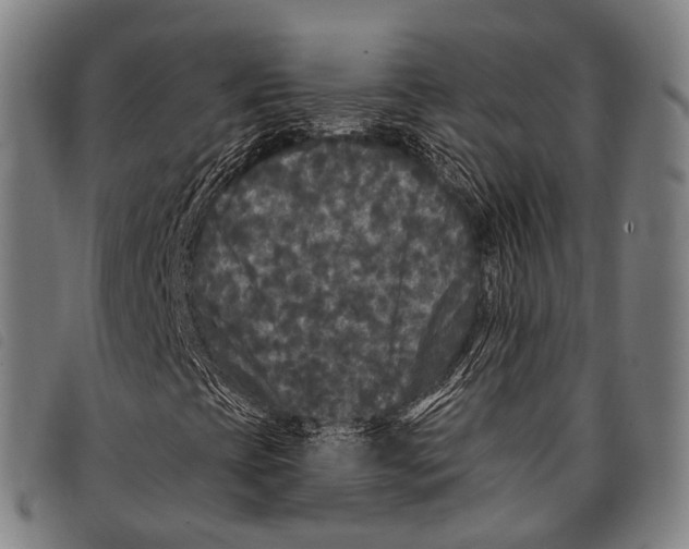 X0000097851393200804041456