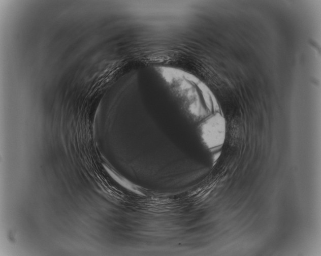 X0000097851394200804041456