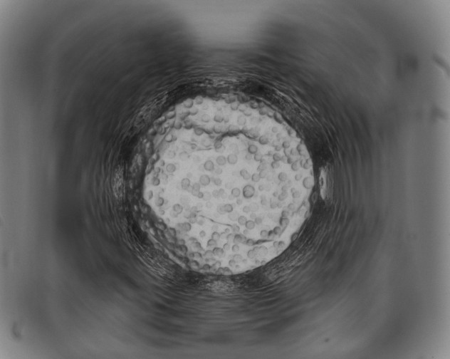 X0000097851395200804041456