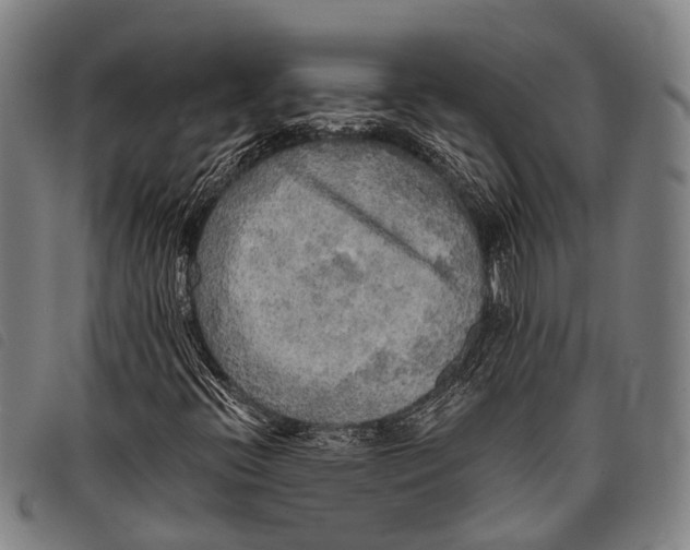 X0000097851396200804041456