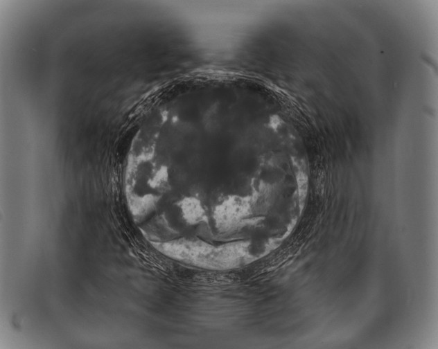 X0000097851397200804041456