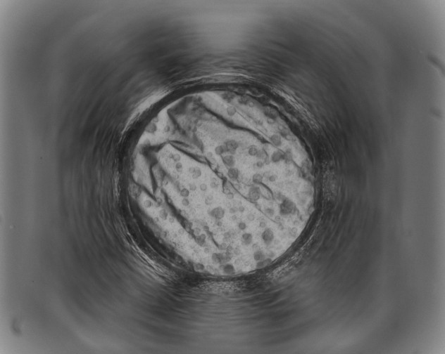 X0000097851402200804041456